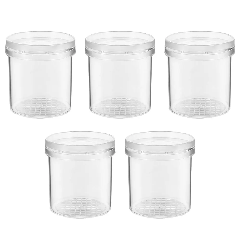 

5 Pcs Insect Observation Cup Magnifying Box Science Exploration Jar with Air Holes Grid Bottom Measuring Bugs Cognitive
