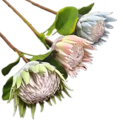 One Silk Protea Cynaroides Flower Branch Artificial Large Flocking Effect Protea Stem