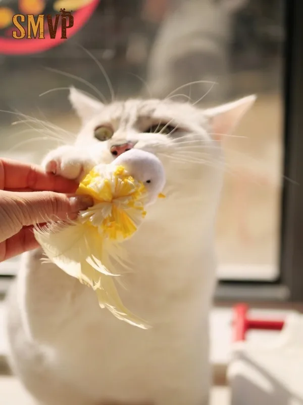 

Original Design Feathered Yellow Chicken Shape Catnip Toy Colored Raffia Light Sound Self Hi To Relieve Boredom Cat Toy