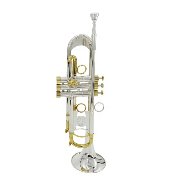 

Musical instruments high quality practical beginners play two-color silver plated B-flat trumpet