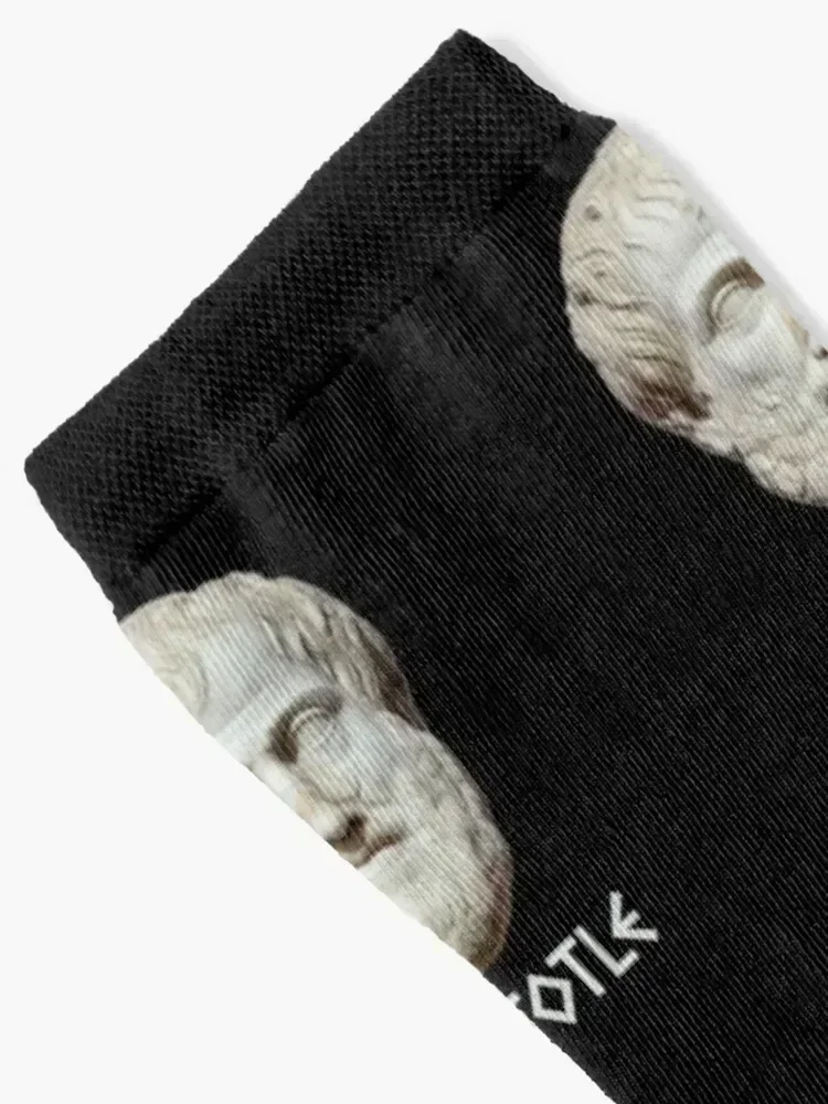 Aristotle - Philosophy Meme Socks happy luxe hip hop Sports Socks Men Women's