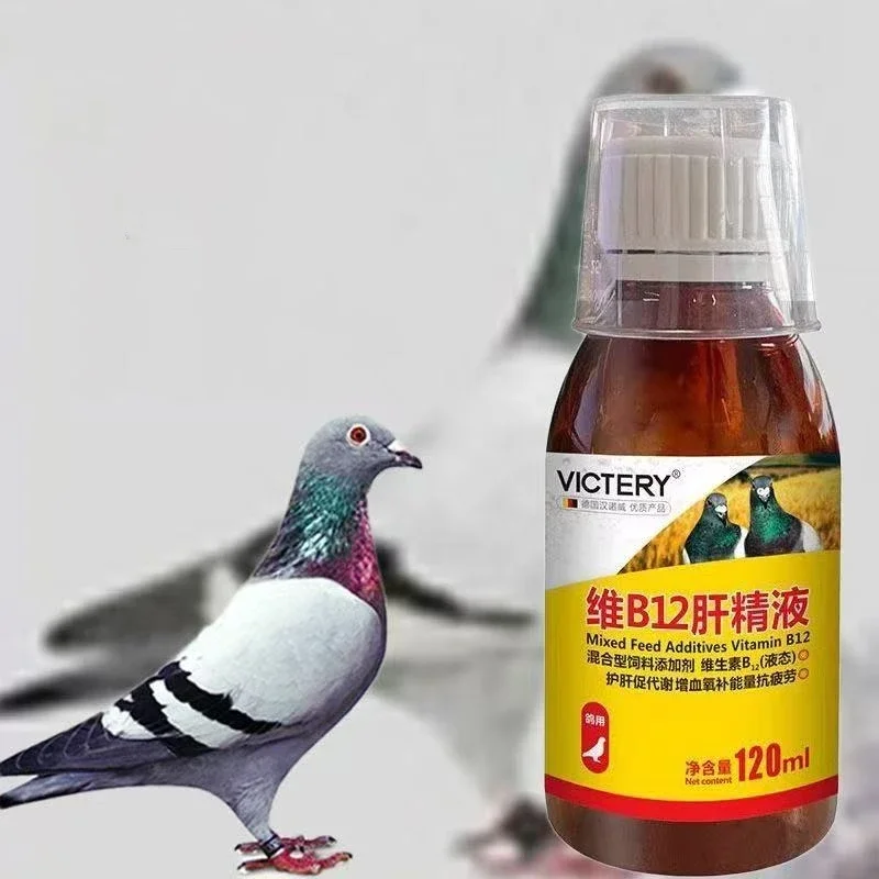 120ml Racing Pigeon Tonic Vitamin B12 Liver Supplement for Energy, Recovery Faster Lactic Acid Clearance Pigeons medicine