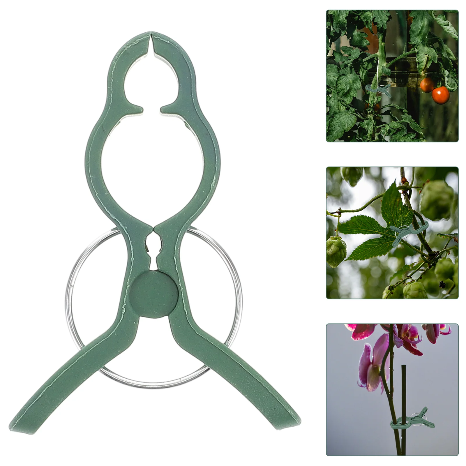 

50 Pcs Tomatoes Garden Clips Plants Phalaenopsis Cucumber Flower Support Clamp Miss