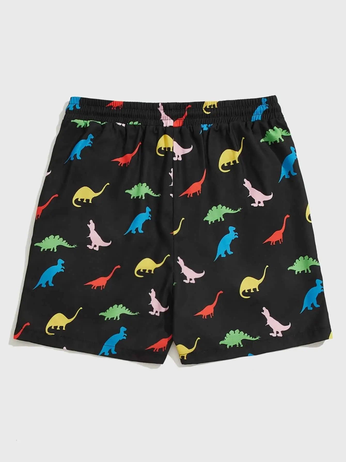 Men\'s beach shorts Dinosaur pattern 3D Printed  Board Summer Swim Trunks Elastic Waist Drawstring Hawaiian Style