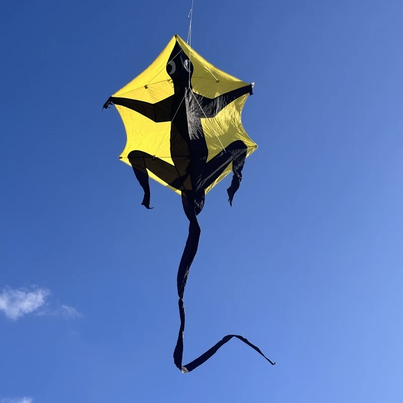 Free Shipping Gecko kites for adults kites fiying Dragon wind professional kite outdoor game adults trick kite light winder fun