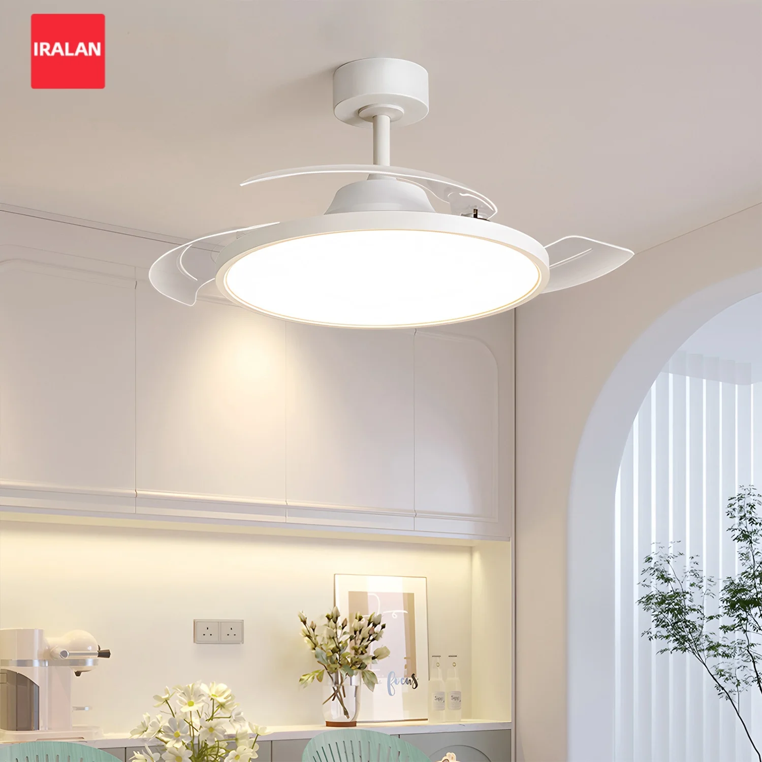 

IRALAN Modern LED Ceiling Fans With Remote Control Simple Ceiling Fan With Light Home Fan Dimmable Ceiling Chandelier Fan Light