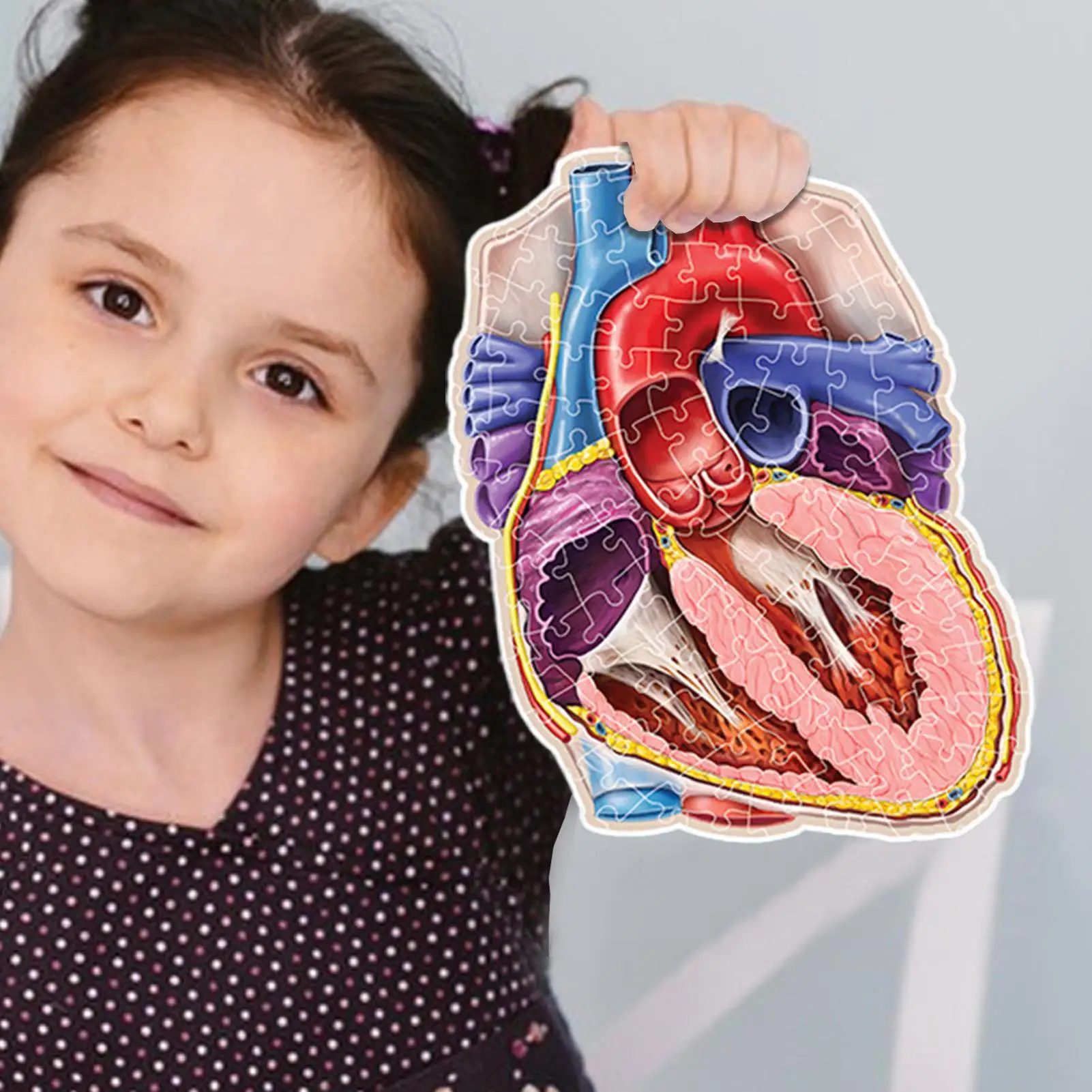 100 peças quebra-cabeças de cérebro humano inclinado modelo de anatomia do cérebro humano brinquedos educativos jogos científicos para adolescentes meninos meninas