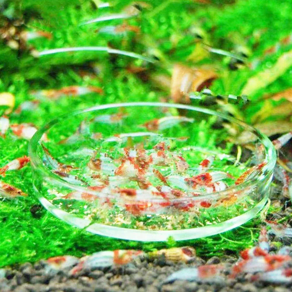 Transparent Aquarium Fish Tank Shrimp Food Feeding Circle Glass Feeder Floating Bottom Feeder Fish Shrimp Feeding Accessories