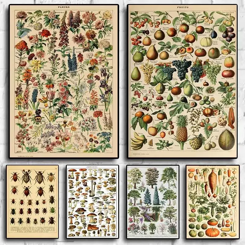 Vintage Pop Art Plant Vegetable Insect Tree Canvas Posters Aesthetics Art Room Wall Decoration Living Bedroom Bar Cafe Picture