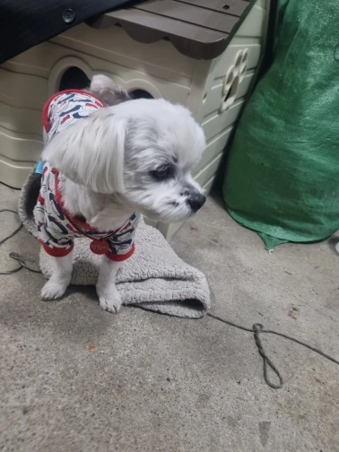 구매후기