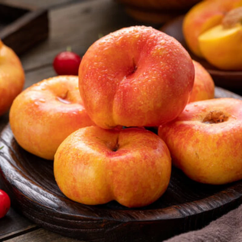 

RC Car Remote Control Storage Hand Bag for Crawler TRX-4 TAMIYA 42358 TRF RC Model Car Storage Bag