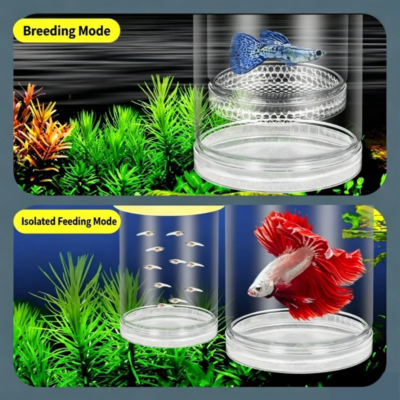 Caixa de Eclosão Transparente para Aquário, Separador Multifuncional para Criação de Peixes, Suprimentos para Isolamento de Alevinos de Guppy, Zebra e Betta