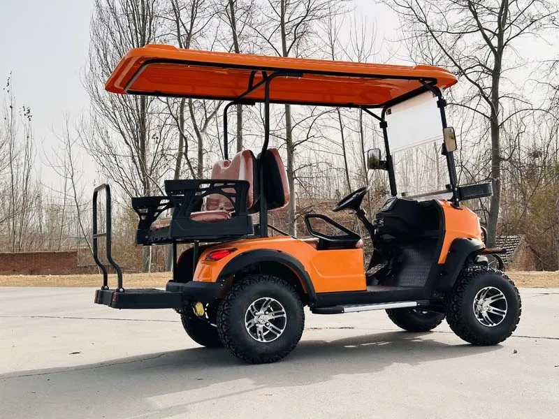 6 سيارة جولف للركاب، عربة جولف ليثيوم 54.4 فولت #3