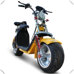 Factory Supply Electric Scooter 1500W brushless Citycoco Adult Electric Motorcycle Scooter 10 inch