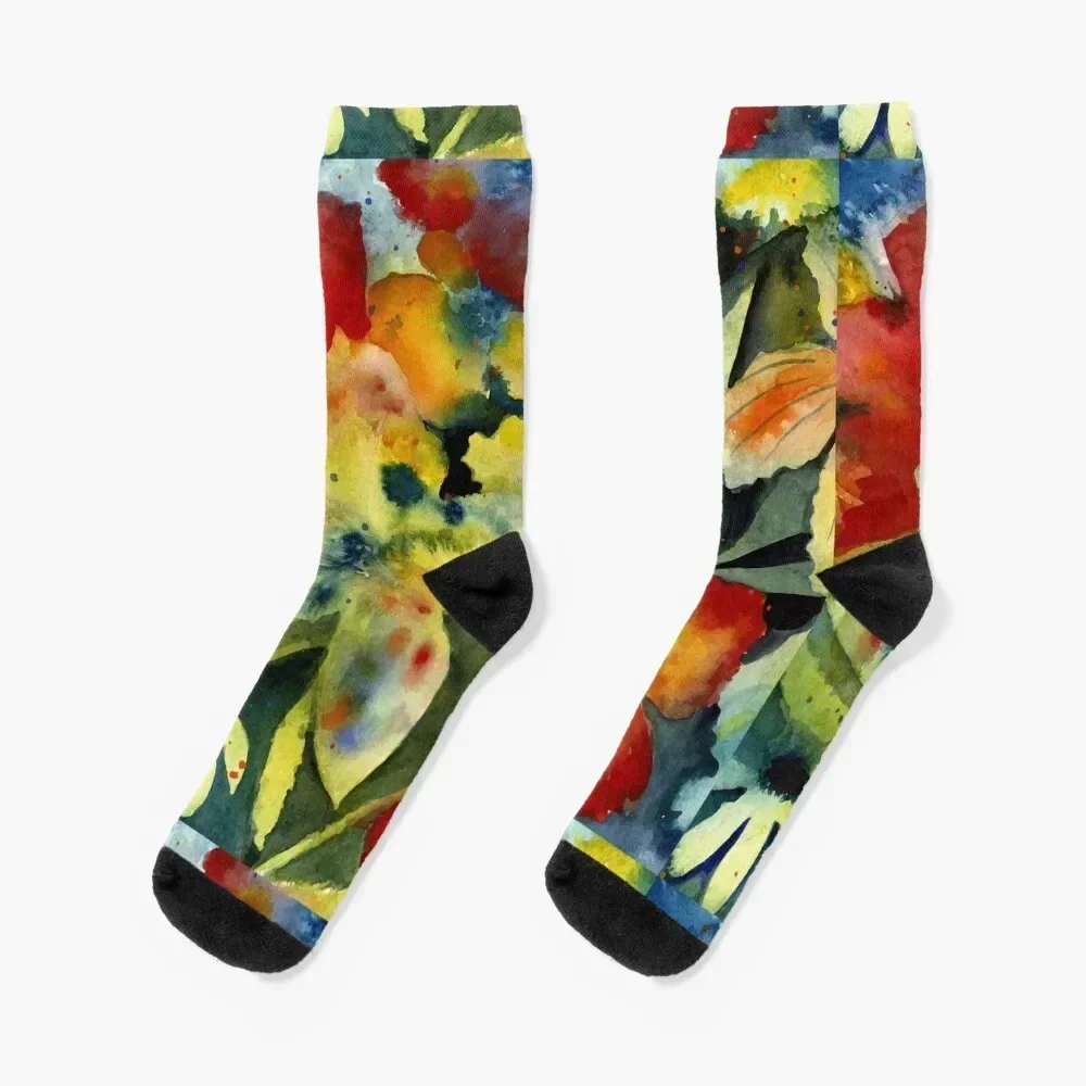 Adrianne Lenker Songs Socks Soccer kids funny gift compression Socks Man Women's