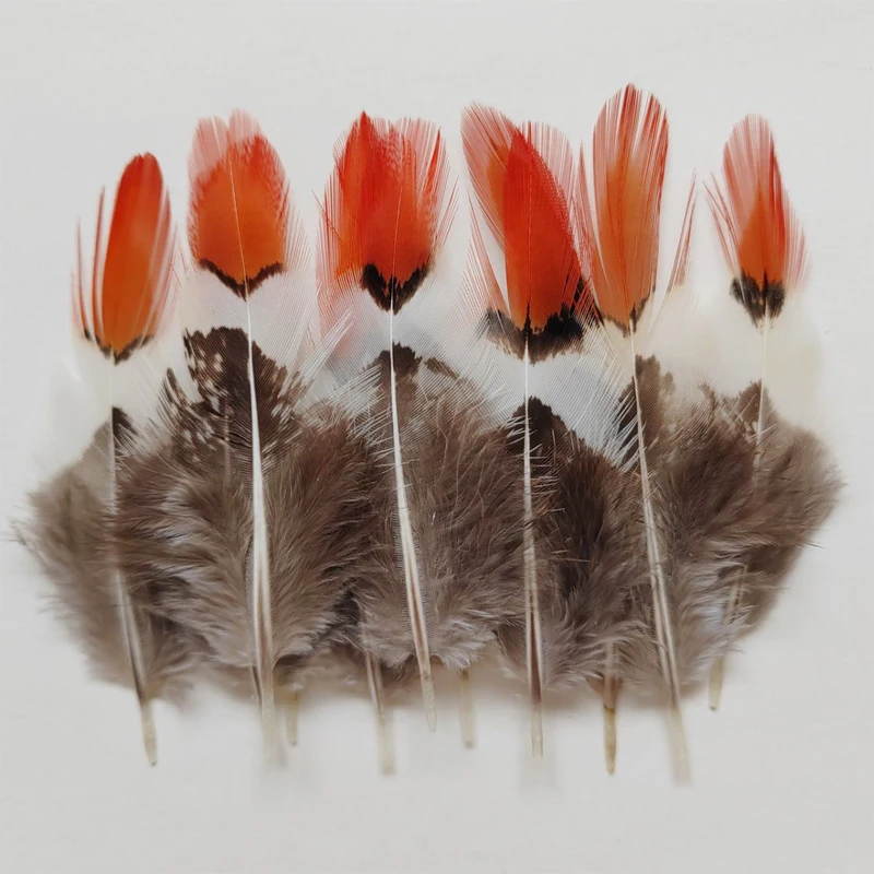 100Pcs/Lot  2-4 inches 5-10CM Pheasant Feathers, Lady Amherst Feather, Orange Red Tipped,Wholesale lot.