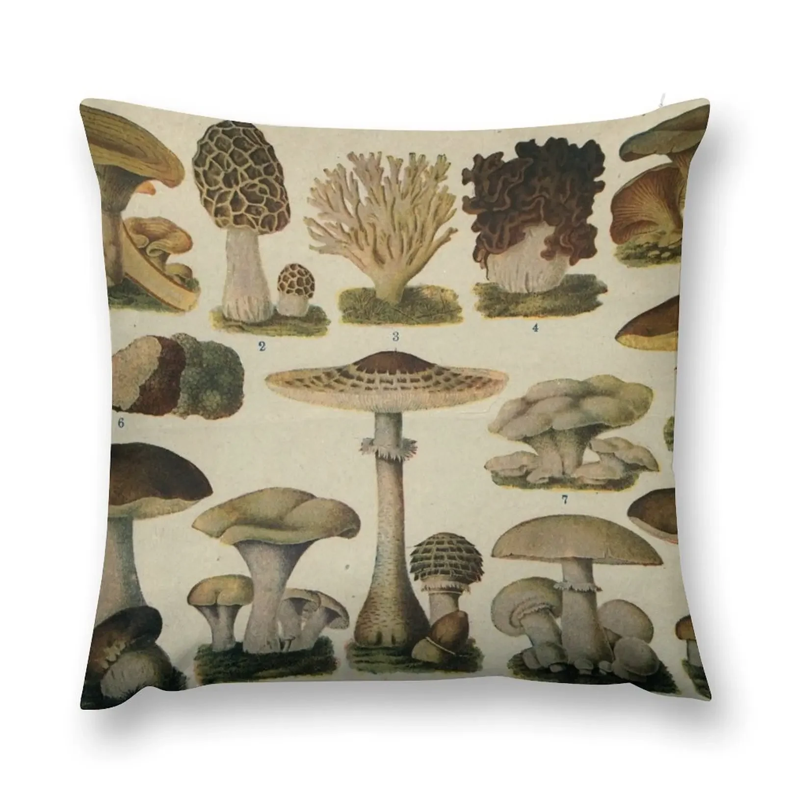 Edible Mushrooms Throw Pillow Plaid Sofa autumn decoration pillow