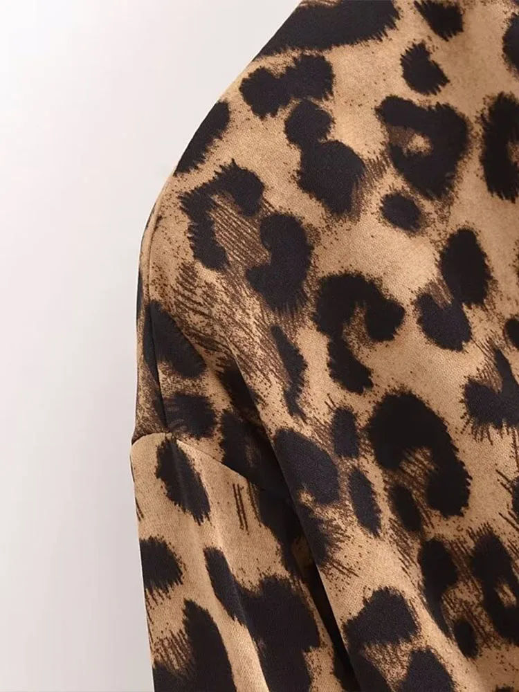 Long-sleeved V-neck leopard print shirt for women, autumn loose temperament chiffon sunscreen shirt, unique and exquisite top