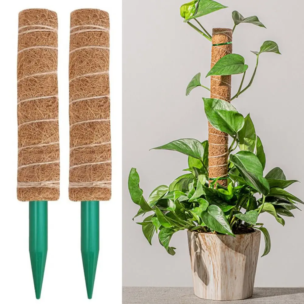 Portable Detachable Moss Pole To Grow Upwards Gardening Tools Plants Climbing Support 32/42/52cm Plants Creepers Outdoor