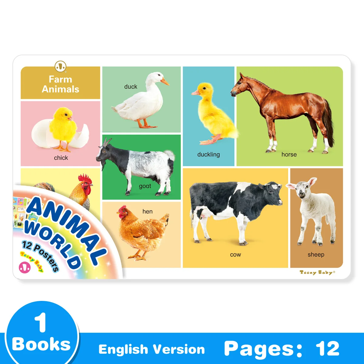 

1 Set of 12 English Children's Animal Poster Chart Oversize Recognize Animals Cognitive Enhancement Enlightenment Gift