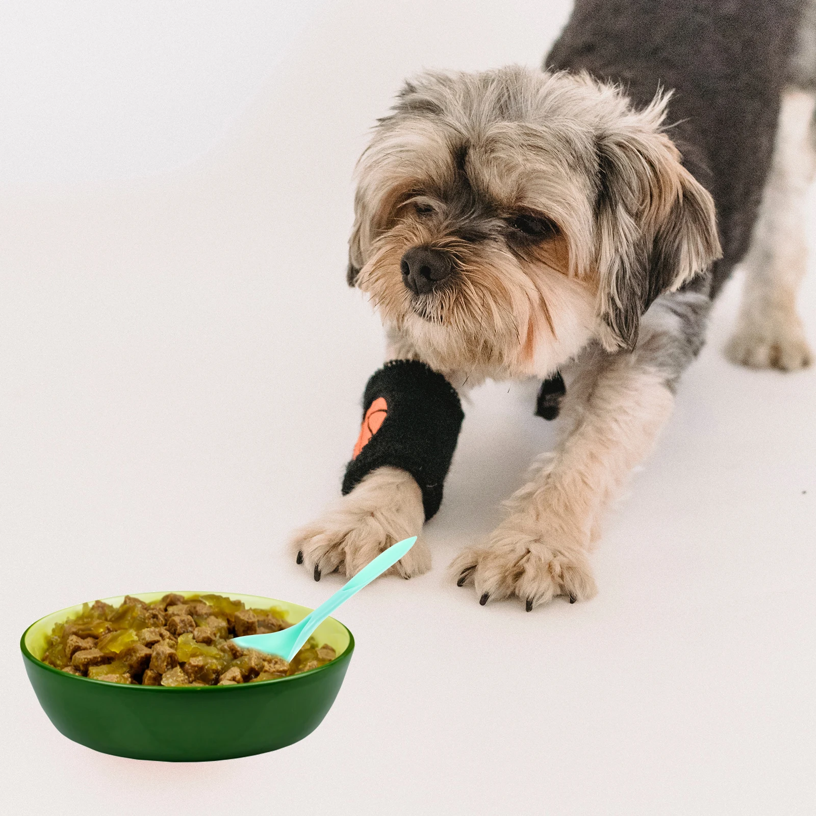 

4pcs Pet Food Cat Food Household Can Multi-Function Stirring Convenient Mixing Spoon For Cat Supplies High-Grade Plastic Spoon