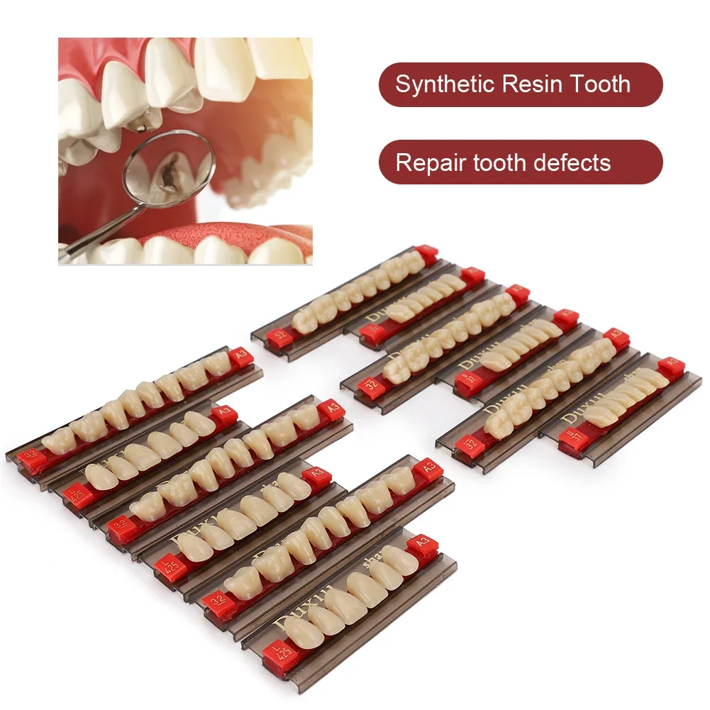 Dental Synthetic Synthetic Resin False Teeth Dental Material Teeth Denture Dentist  Supplies For Making Denture Model Learning