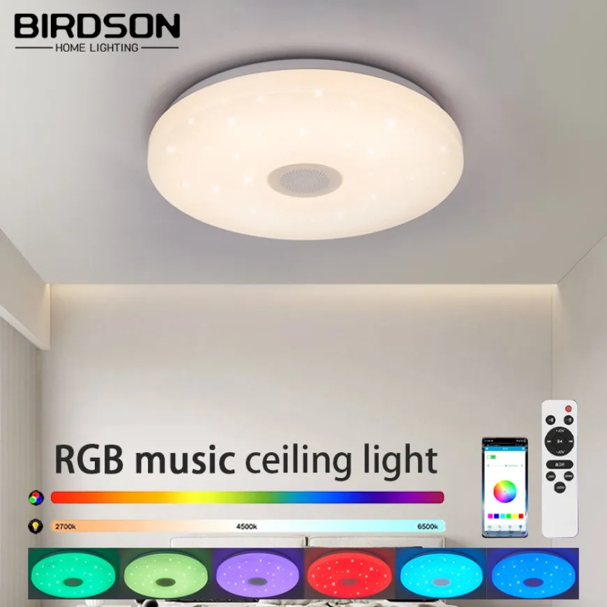 LED Ceiling Light APP Intelligent Bluetooth Music Light RGB Remote Control Dimming Bedroom Living Room Interior Decoration Light