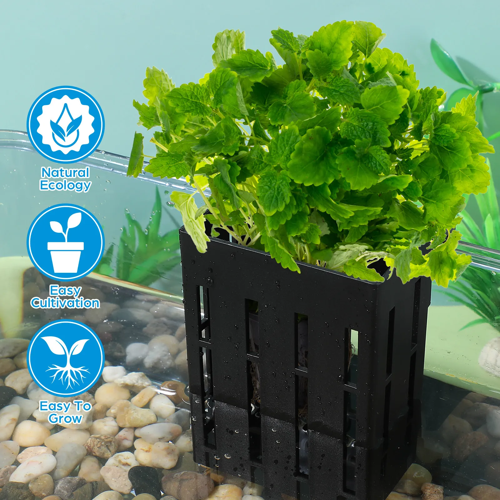 

4Pcs Hanging Aquarium Plant Holder Aquatic Planter Plastic Plant Pot for Fish Tank Decoration with Hole Design for