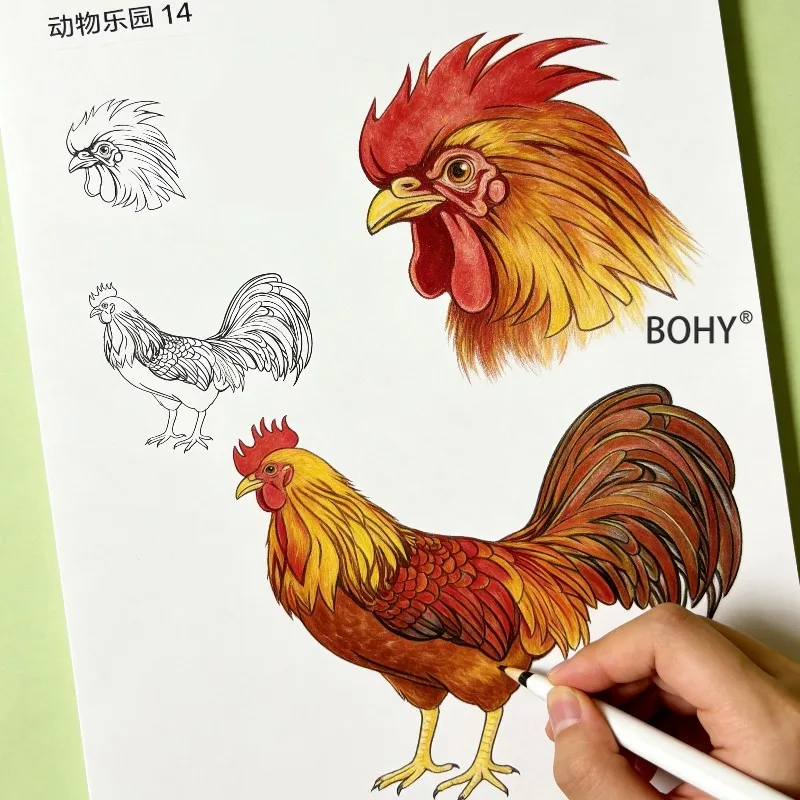 1 Animal Sketching and Coloring Book, 24 Pages, Zero Foundation Animal Painting Practice, Home Leisure Hand Drawing, Good Gift