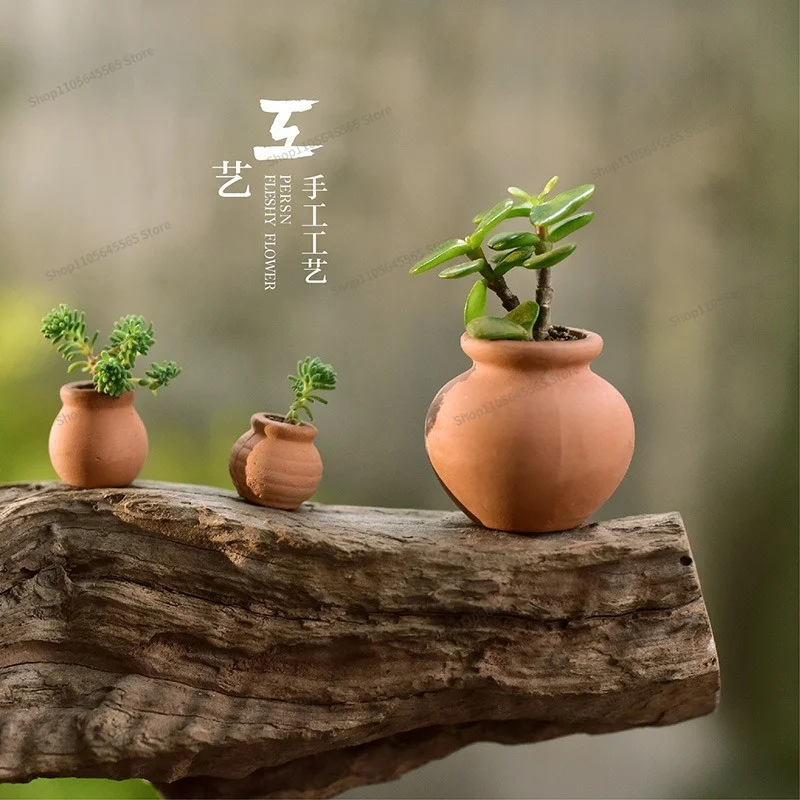 Mini Pocket Thumb Succulent Nursery Leaf Insert Ceramic Pot Succulent Pot Round Pot