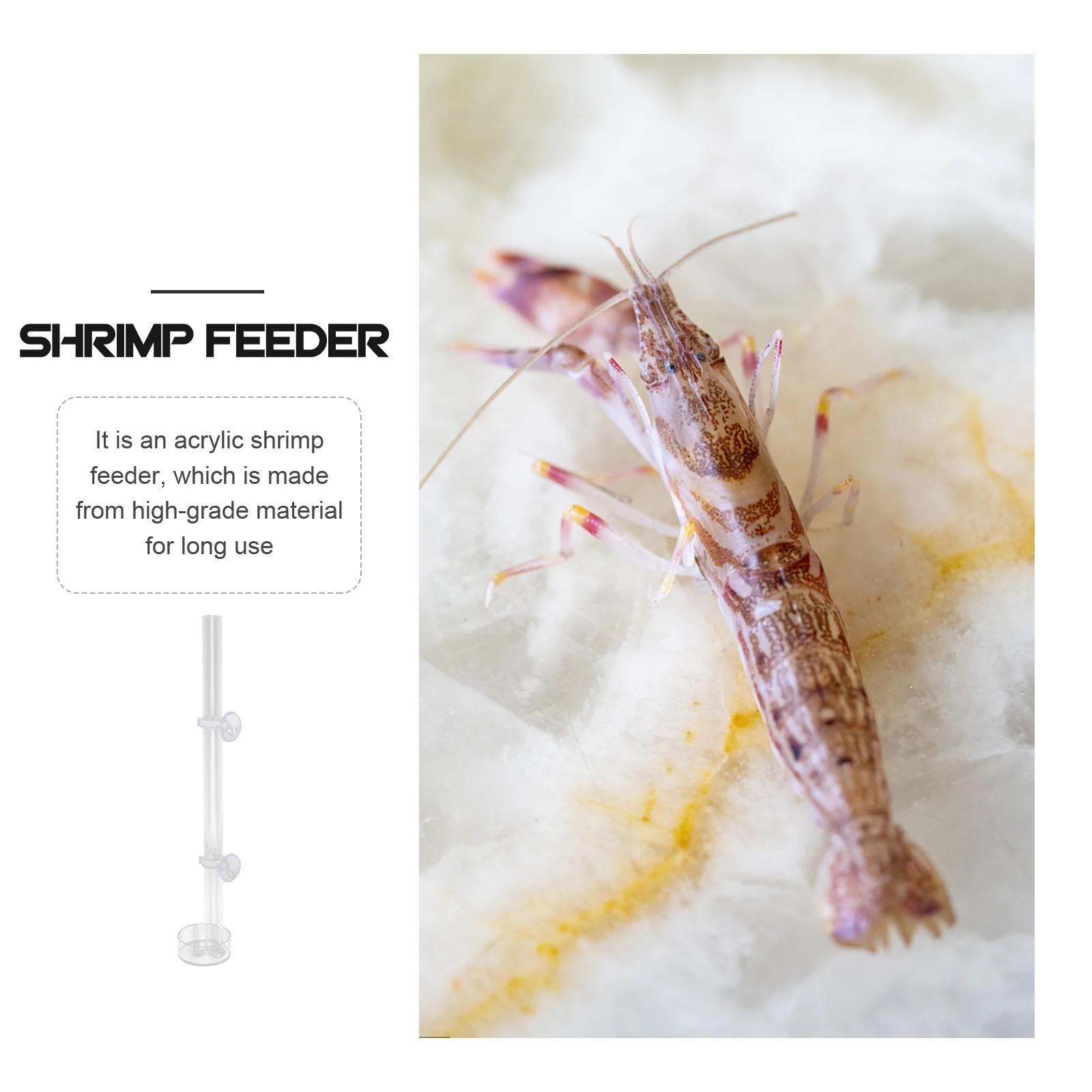 

Tube Clear Acrylic Professional Shrimp Feeder Aquarium Transparent Feeding Tool Fish Feeding Tube Shrimp Food Holder Breeding