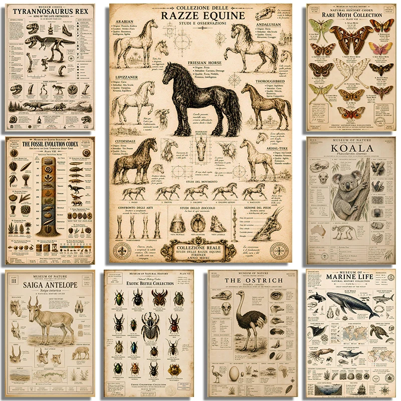 Retro Natural History Encyclopedia Wildlife Poster Rare Moth Collection Saiga Antelope Prints Canvas Wall Art Picture Home Decor