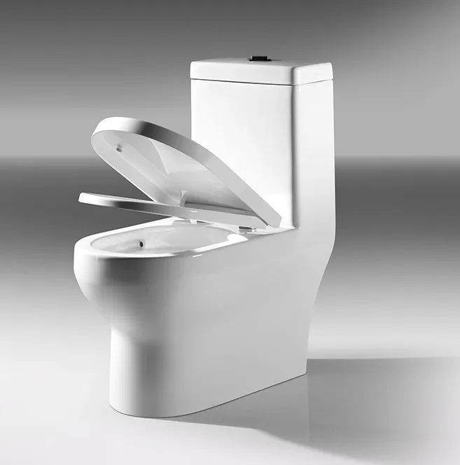 Z Wc Sanitary Ware …