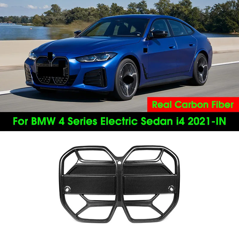 Front Kidney Bumper… - image