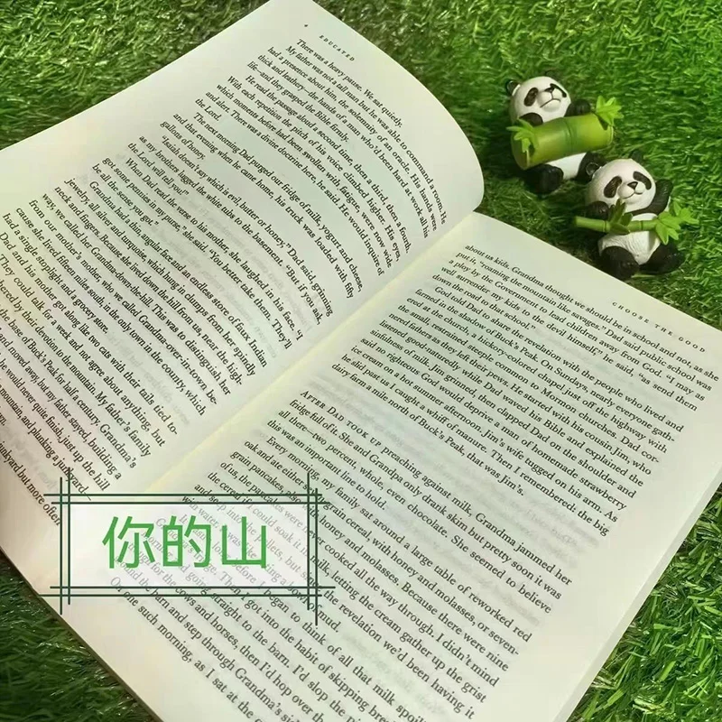 당신은 산으로 날아가는 새처럼 날아야 합니다 교육은 삶을 바꾼다 자전적 소설 영어 책