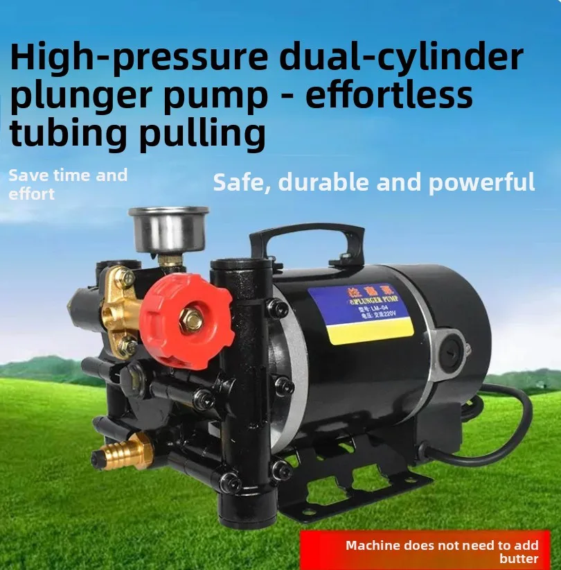 Portable sprayer Agricultural electric fruit tree sprayer 12v60v24v220v double cylinder plunger pump