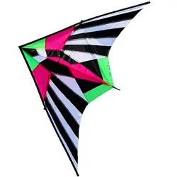 Outdoor Fun Sports New Arrive 2.5m Colorful Triangle Kites With Handle & Line Good Flying