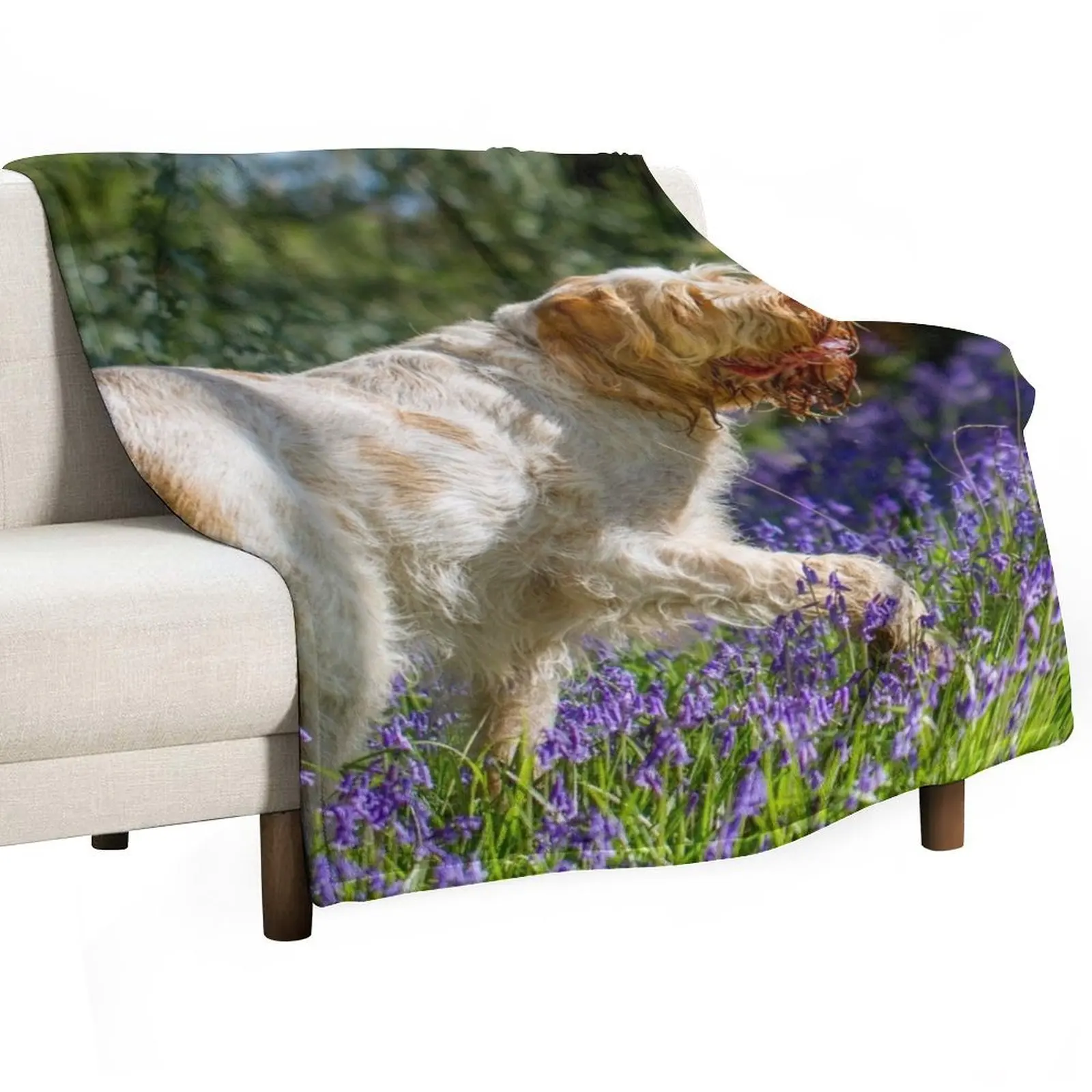 

Bluebell wood Spinone Throw Blanket Flannel Fabric Fashion Sofas sofa bed Sofa Blankets