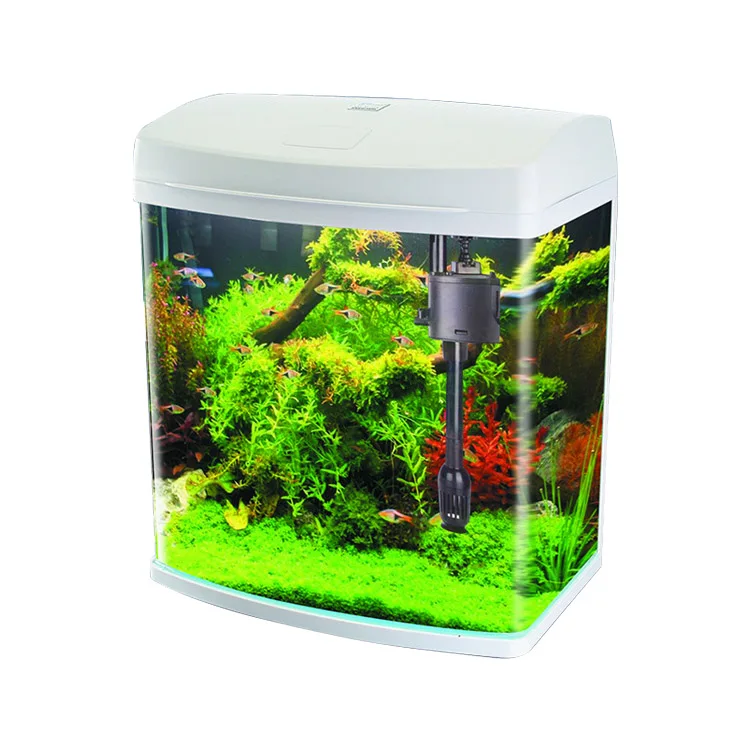 Mini Glass Aquarium…