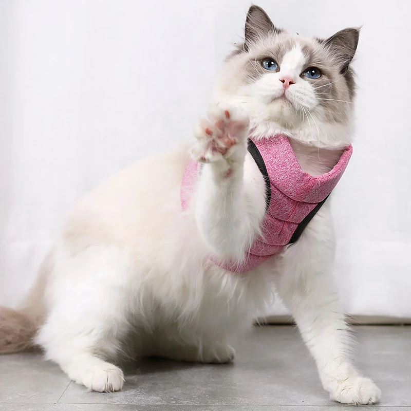 Adjustable Anti-Escape Small Cat Belt Kitten Harness with Reflective Strapad Breathable Soft Pet Vest Mesh Cats Traction Belt