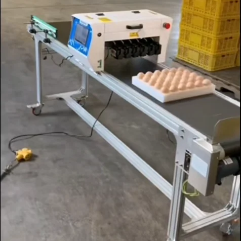 High-Speed Head Egg Inkjet  Machine for Date Logo Pattern Batch Number Printing on Chicken Eggs