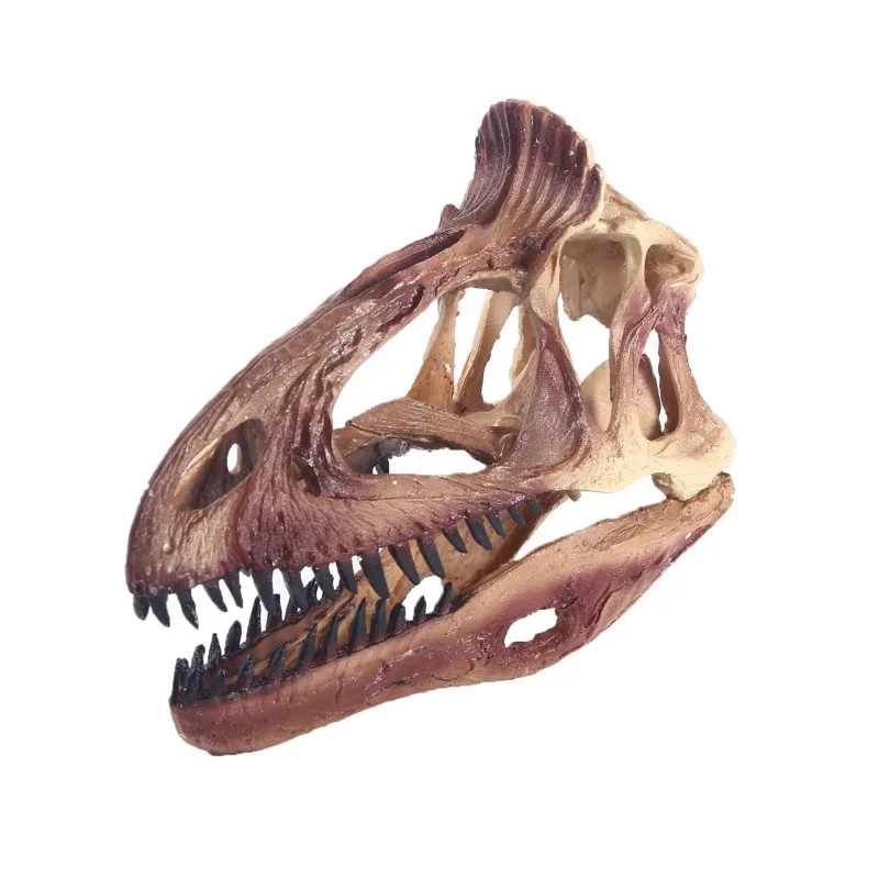 Ice-Spine Dinosaur Skull Model for Science Studies and Educational Activities