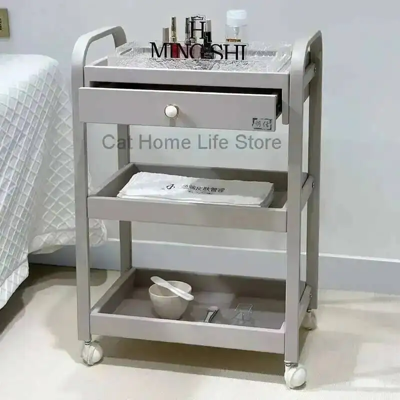 

Furniture Rollers Hairdresser Trolley Beauty With Salon Luxury Dental Tool Storage Cart Stainless Steel Work Tools Hairdressers