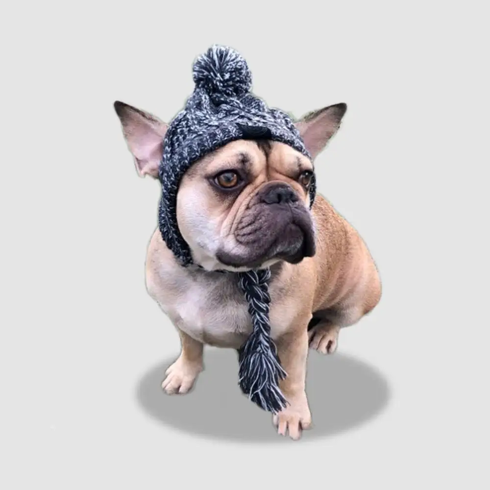 NONOR Winter Warm Dog Hats Windproof Knitting French Bulldog Hat for Dogs Chihuahua Hat Fluffy Ball Puppy Accessories Pet Hat