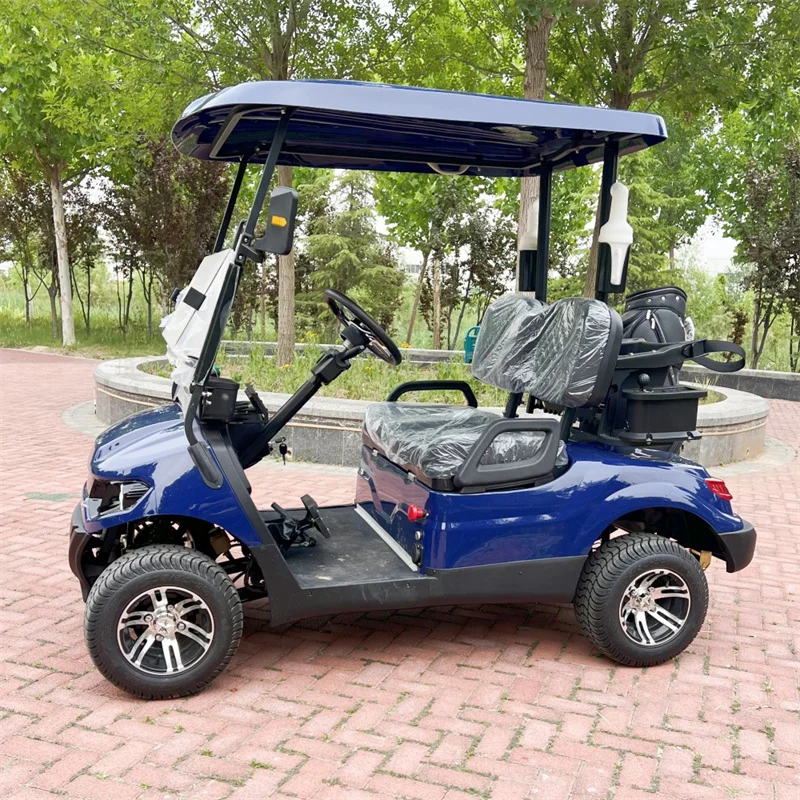 CE Approved New Design 2 Seater Electric Golf Cart Manufacturer Smart Golf Cart Electric Buggy