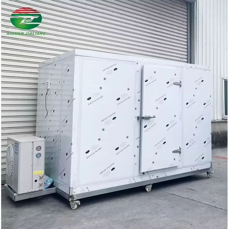 10*10*10ft Walk in Freezer Blast Freezer Room Cold Storage Refrigeration