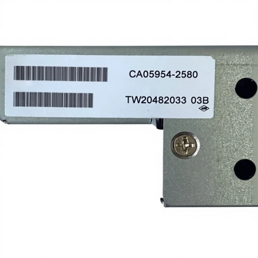 The Module New Original CA05954-2580