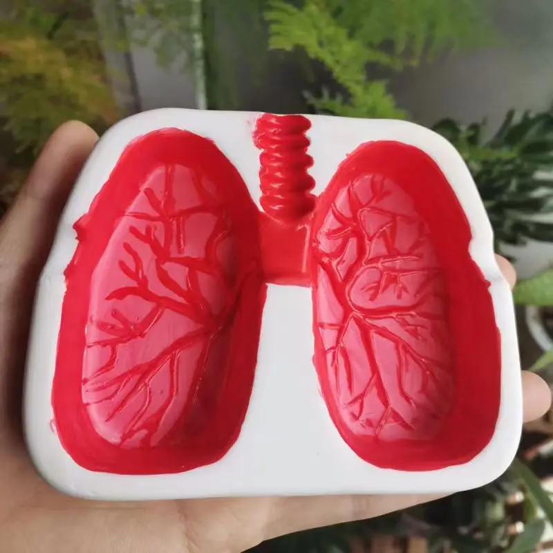 Lung ShaLung PE Ashtray, Red Creative, Home Pesonality, Birthday, Boyfriend, Father\'s Day Gift, Smoking Cessation Device