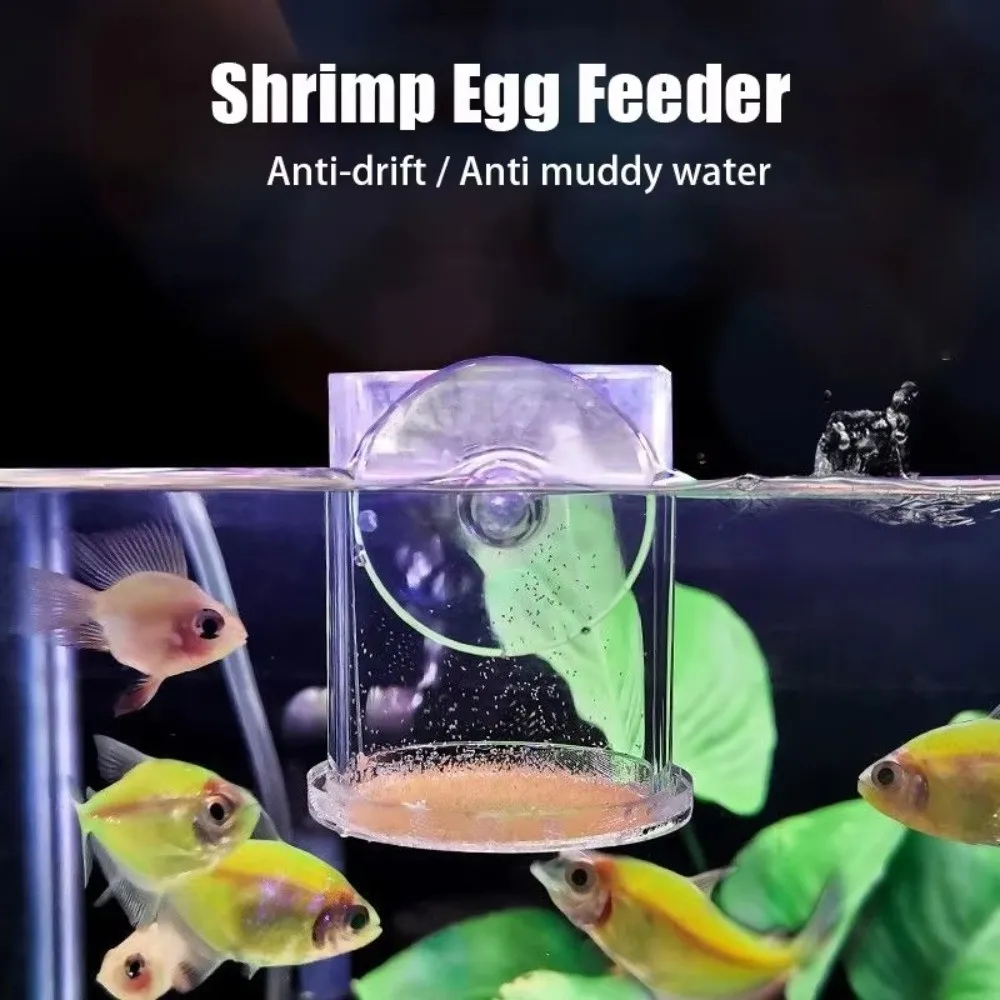 Acrylic Brine Shrimp Feeder Fixed-Point Transparent Fish Feeder with Suction Cup Durable Floating Ring for Aquarium Accessories