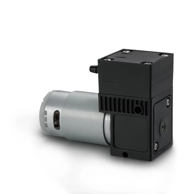 Bldc 12v/24v 300ml/min Brushed Motor Portable Micro Vacuum Diaphragm Pump Customized Liquid Water Water Pump